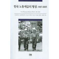 HanulAcademy 韓國勞動階級的形成：1987-2003, 鄭鎭相