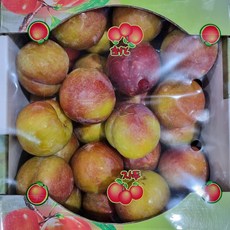 [쿠팡특가] 고당도 가을 추희 대왕자두, 1개, 왕특 1kg