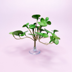 안녕달팽이 페페로미아 조화 달팽이 키우기 용품 조화