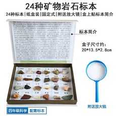 암석광물 표본 장식품 화석 고생물학 장식 수석 보관함 수집, 24종