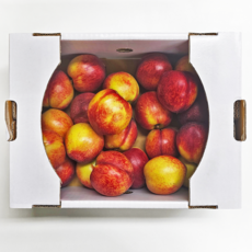 당도선별 제철 새콤달콤 천도복숭아, 1개, 1kg(로얄과)