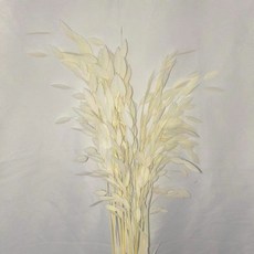 小盼草永生花真花幹花雲南工廠材料家居裝飾, 米白色（漂色10支）