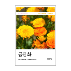 금잔화 씨앗 100립, 1개