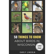 (영문도서) 50 Things to Know About Birds in Wisconsin Large Print: Birding in the Badger S... Paperback, Independently Published, English, 9798301288135
