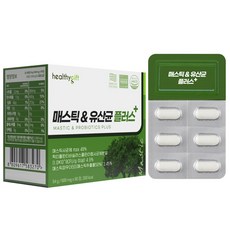 매스틱 유산균 플러스 식약처 HACCP 인증 매스틱 정, 1개, 90정
