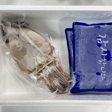 피데기 반건조 오징어 5미 550g x 2개