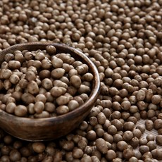 안동 햇 마씨(영여자) 마씨앗, 1개, 1kg