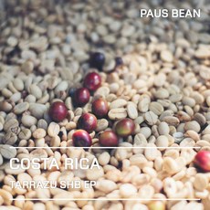 생두대빵 코스타리카 따라주 SHB EP 생두, 1개, 500g