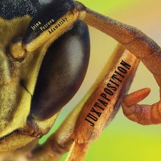 (영문도서) Juxtaposition Paperback, Luniver Press, English, 9781905986132