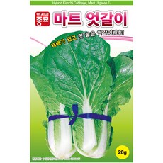 아시아종묘 마트 엇갈이 배추 씨앗 20g, 3개