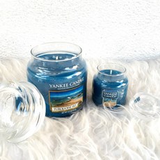 Yankee Candle 香氛蠟燭 土耳其天空 瓶中燭，清新香氣，營造寧靜放鬆的居家氛圍，持久散發迷人香氣, 1件