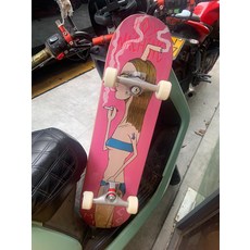 進口組裝滑板 陸沖專業板, 如圖所示, 1個