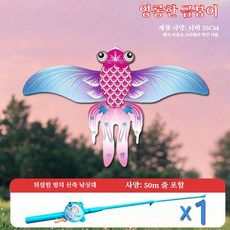 낚싯대 핸들 미니 연 - 아이들도 쉽게 날리는 자동 날갯짓 나비 연 (공원 캠핑 완구), 아름다운 금붕어 디자인