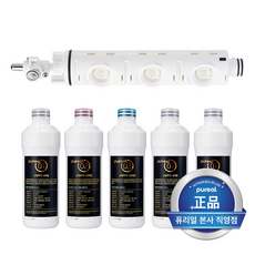 직영 퓨리얼 직수 정수기 프리미엄 정품 필터 1년치 세트 + 유로 체인저 PPA-300 직수 모듈 부속품