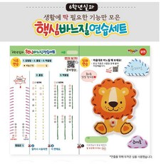 실과 핵심 바느질 연습세트