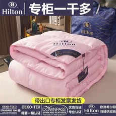 사계절 이불 이불 호텔 다운이불 거위털 침구, C. 50x200cm 5kg 봄가을용 퀼트