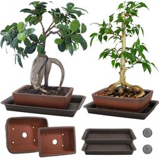 배수 트레이가 있는 ELFULLY 세라믹 분재 냄비 2팩 6인치 및 7인치 미광 직사각형 나무 화분 훈련 야외 실내 배수구가 다육질 선인장 갈색