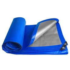 야외 방수포 캠핑 플라스틱 천 차양 비 다목적 선 스크린 캔버스, 01 CHINA, 02 3mX3m