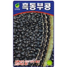 영농사 흑 동부콩 씨앗 30g 덩굴성 검정 동부콩씨, 4개