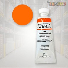 티엔에스 아크릴물감 신한 50ml 593 카드뮴오렌지 주황색 전문가용 1개입