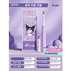 전동 칫솔 충전식 부드러운 소년 소녀 성인용 귀엽고, 1개, 전동칫솔 칫솔모2개+부드러운칫솔모+기계전체방수, 기본 모델명/품번