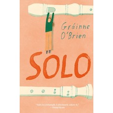 (영문도서) Solo Paperback, Little Island Books, English, 9781915071798