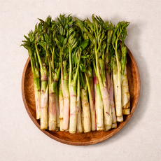 당일수확 국내산 자연산 땅두릅 봄나물 특상품, 1개, 2kg