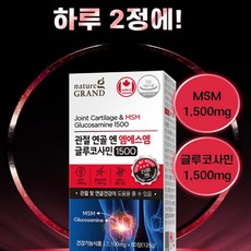 네이처 캐나다 고관절 허리 관절에좋은 약1달분, 120정, 1개