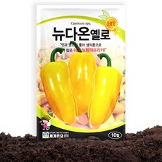 세계종묘 뉴다온옐로 파프리카 씨앗 10립 노랑 미니 파프리카 피망 씨 종자, 1개