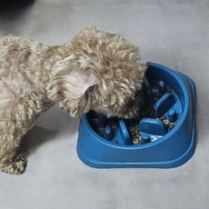 강아지 급체 방지 밥그릇 다크 컬러 슬로우 식기 고양이, 1개, 상세페이지 참조