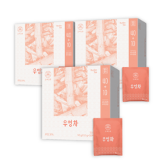 오색다원 우엉차, 3개, 50개입, 1g