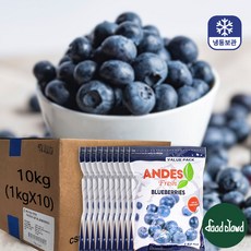 냉동 블루베리 칠레산, 10개, 1kg