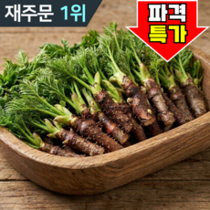 [백화점상품] 최상급 프리미엄 참두릅 초특가, 1개, 300g