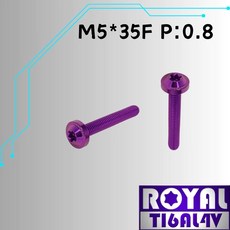 ROYAL 鈦合金 M5*35F P:0.8 飛碟頭螺絲, 1個