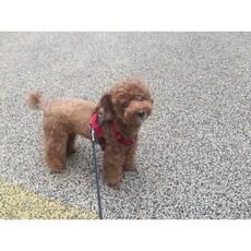 수심결과 마음공부:완전한 행복에 다가가는 가장 오래된 마음 비결, eee