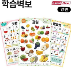 학용 어린이 교육용 양면 학습 벽보 공룡 그림 대형 포스터 자료, 본상품