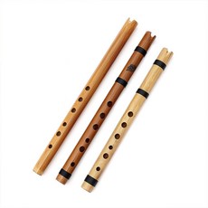 가이나는 연주 C 마지막 모히칸인 인디언 quena 리코더 악기를 처음 배웠다, C장조