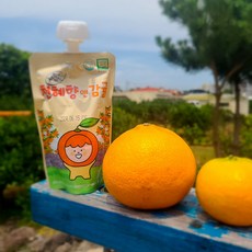 100% 무농약 감귤 천혜향 한라봉 주스 10개 묶음, 천혜향앤감귤, 120ml