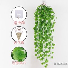仿真綠蘿客廳掛墻綠植 壁掛植物裝飾 垂吊假花藤 條室內藤蔓吊蘭吊籃, 過膠葡萄葉吊蘭2束(送三角籃), 1個