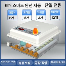 병아리부화기 조류 자동부화기 축산 다기능 계란 대용량, 1개, 6개 단전