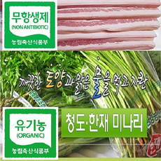 [미엔목] 혼밥부터 캠핑까지 [무농약] 한재미나리와 [무항생제] 숙성 목살의 만남이 신의 한수 친환경 농축산물의 조화로운 향연 구이용 돼지 목심 국내산 냉장, 1세트, 1인분 한재미나리 200g + 숙성목살 300g