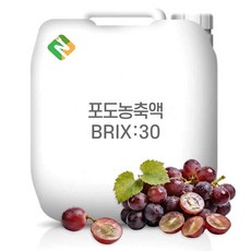 포도농축액 30Brix 200g 샘플, 1개