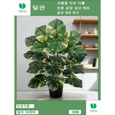 실내 장식에 쓰이는 인조 녹라나무는 18개의 잎이 높이 73cm 인조 꽃 인조 식물이다, 1개, 녹라나무 높이 73cm