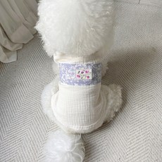 그루밍독 반려동물 순면 두루마기 원피스 설빔 한복, 블루 두루마기, 1개