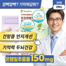 뇌에좋은영양제 뇌건강 두뇌 인지력개선 프리미엄 징코 은행잎추출물, 2박스, 30정