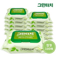 샤인 그린터치 유아물티슈 캡형, 100개입, 10개