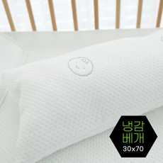 [아이차유] 국내제작 듀라론 베개 냉랑이 쿨 냉감패드 냉감원단 여름베개 냉감베개 (30 x 70), 냉랑_냉감베개_지퍼형 (30 x 70) 향균방울솜
