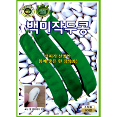 KS종묘 백미작두콩 씨앗 10립 흰작두콩 덩굴강낭콩 종자 ks, 1개
