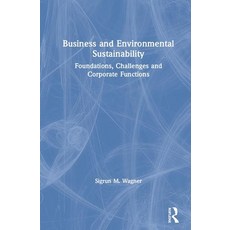 Business and Environmental Sustainability: Foundations Challenges and Corporate Functions Hardcover, Routledge