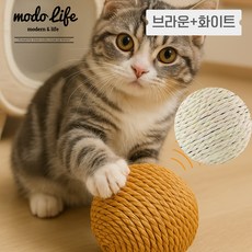 모도라이프 냥냥신남 프리미엄 사운드볼 장난감 고양이 이갈이 스크래처 스트레스 해소 캣토이 씹기 놀이 캣닢 1+1, 1세트, 브라운+화이트